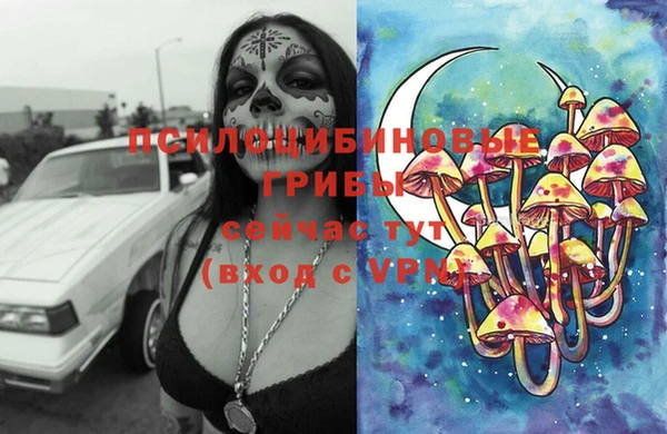 спайс Заволжск