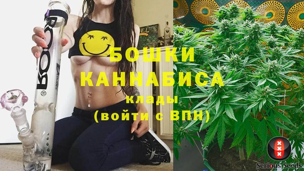 mdma Заводоуковск
