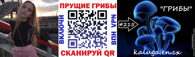 Купить где  Мосальск  Псилоцибиновые грибы Psilocybine cubensis 